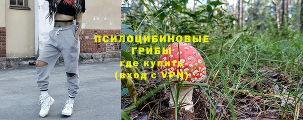 меф Дмитриев