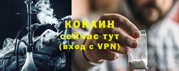 мет Дмитров