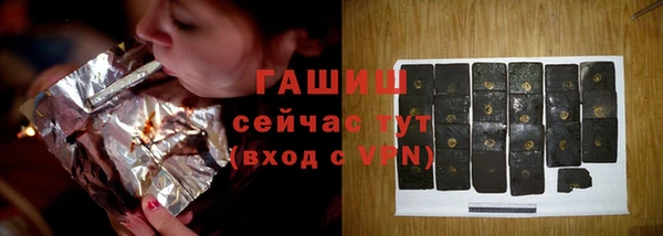 твердый Дмитровск