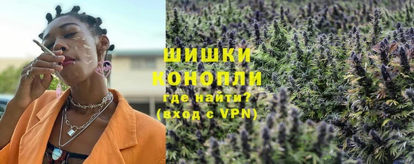 твердый Дмитровск