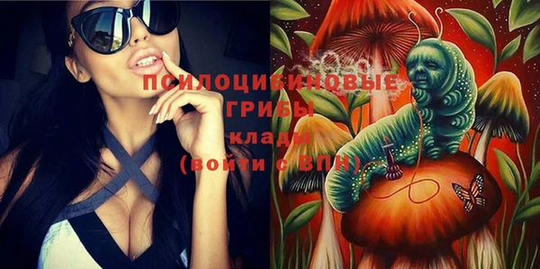 меф Дмитриев