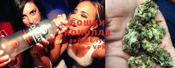 твердый Дмитровск